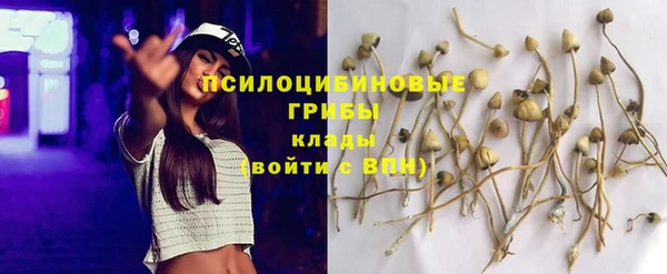 эйфоретик Арсеньев