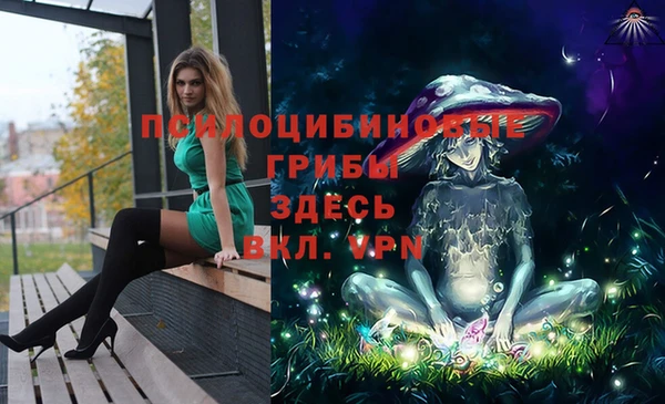 apvp Аркадак