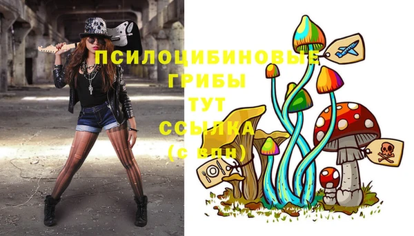 эйфоретик Арсеньев
