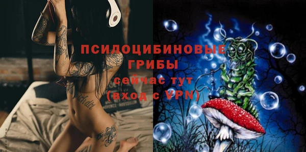 эйфоретик Арсеньев
