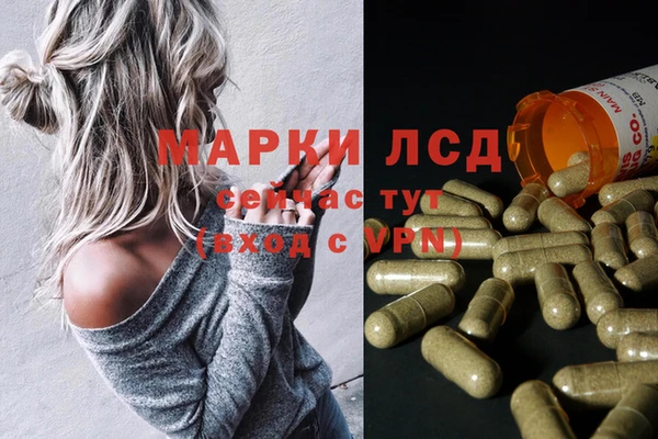 эйфоретик Арсеньев