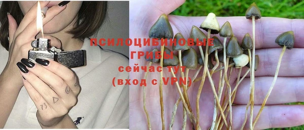 эйфоретик Арсеньев