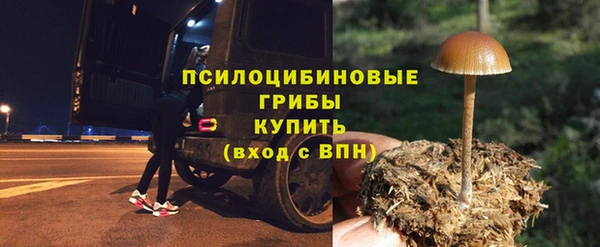 эйфоретик Арсеньев