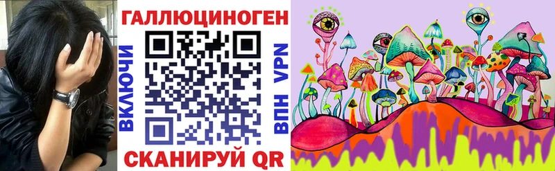 Псилоцибиновые грибы MAGIC MUSHROOMS  цена наркотик  Мамадыш 